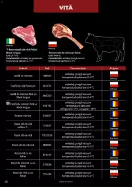 Catalog Selgros Pagină 38