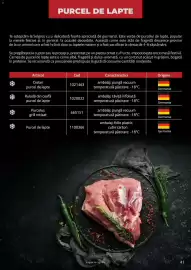 Catalog Selgros Pagină 41