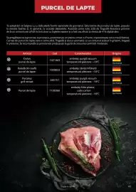 Catalog Selgros Pagină 41