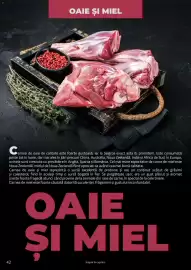 Catalog Selgros Pagină 42