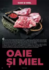 Catalog Selgros Pagină 42