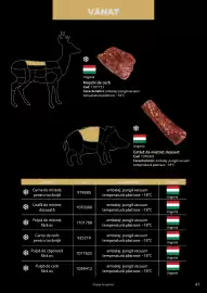 Catalog Selgros Pagină 47
