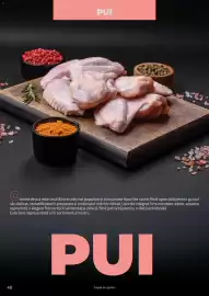 Catalog Selgros Pagină 48