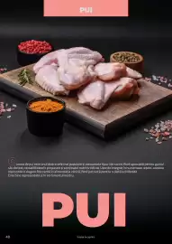 Catalog Selgros Pagină 48