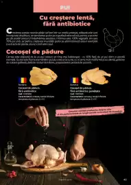 Catalog Selgros Pagină 49