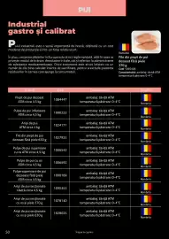 Catalog Selgros Pagină 50