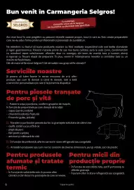 Catalog Selgros Pagină 6