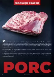 Catalog Selgros Pagină 8