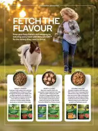 Woolworths catalogue Page 113