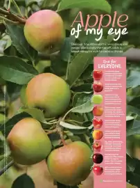 Woolworths catalogue Page 61