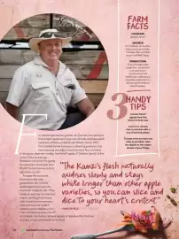 Woolworths catalogue Page 62