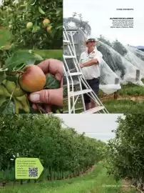 Woolworths catalogue Page 63