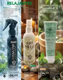 Catálogo Dolce Catálogos Página 100