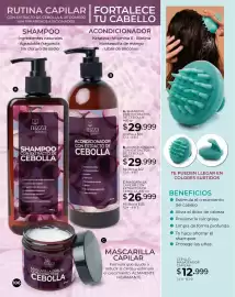 Catálogo Dolce Catálogos Página 106