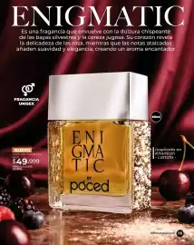 Catálogo Dolce Catálogos Página 115