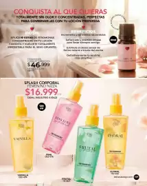 Catálogo Dolce Catálogos Página 117