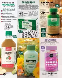 Catálogo Dolce Catálogos Página 98