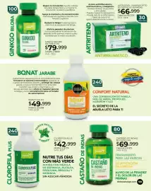 Catálogo Dolce Catálogos Página 99