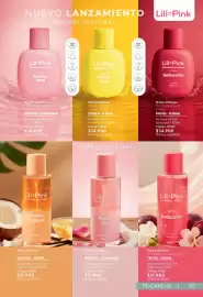 Catálogo Nova Venta Página 107