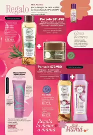 Catálogo Nova Venta Página 37