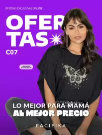 Catálogo Pacífika Página 204