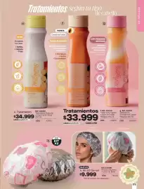 Catálogo Carmel Página 173