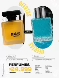 Catálogo Carmel Página 250