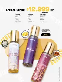 Catálogo Carmel Página 251