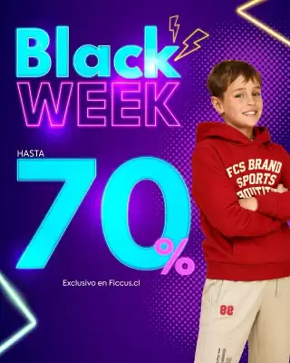 Catálogo Ficcus (válido hasta 31-03)