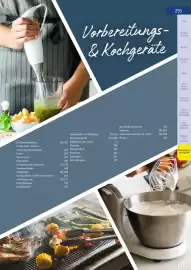 Metro Flugblatt Seite 255