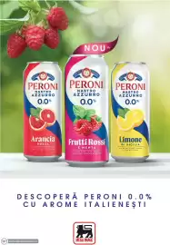 Catalog Mega Image Pagină 36