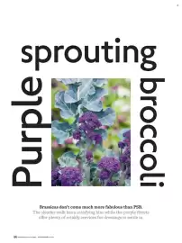 Waitrose catalogue Page 44