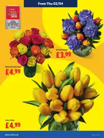 Lidl leaflet week 14 Page 29