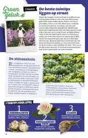 Ditjes en datjes folder Pagina 38