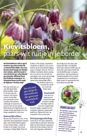 Ditjes en datjes folder Pagina 39