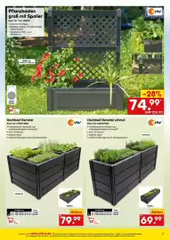 Netto Marken-Discount Prospekt Seite 7