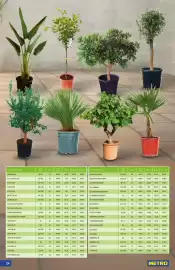 Metro Flugblatt Seite 24