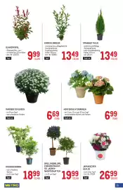 Metro Flugblatt Seite 25