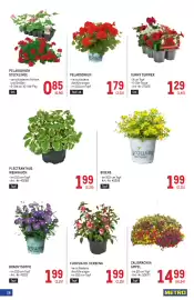 Metro Flugblatt Seite 26