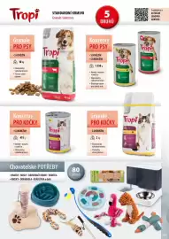 Mountfield leták Strana 163