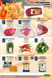 Metro akciós újság Oldal 21