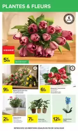 Catalogue Carrefour page 84