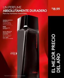 Catálogo Ésika Página 172