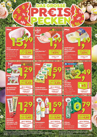 ADEG Flugblatt Seite 8