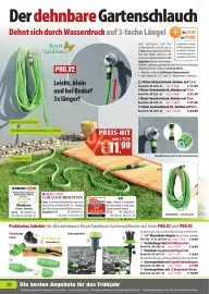 Pearl Flugblatt Seite 18