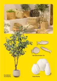 Leen Bakker folder | Tuinmagazine 2026 Pagina 17