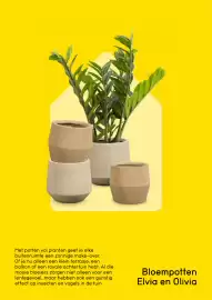 Leen Bakker folder | Tuinmagazine 2026 Pagina 9