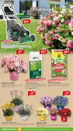 Raiffeisen Markt Prospekt Seite 2