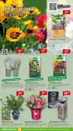 Raiffeisen Markt Prospekt Seite 4