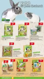 Raiffeisen Markt Prospekt Seite 5